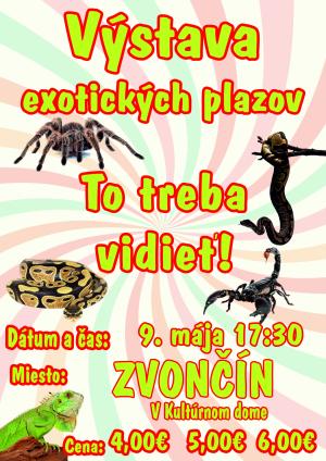 Výstava